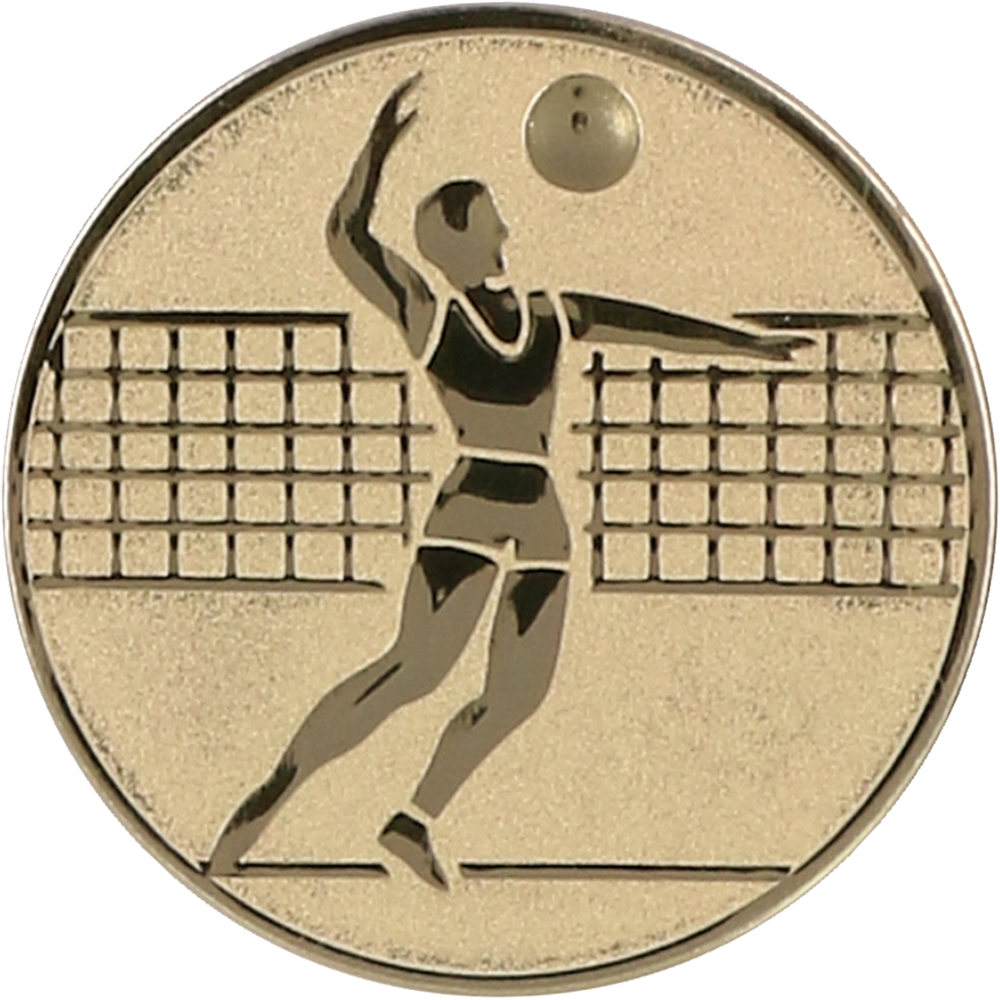 Wklejka aluminiowa złota - siatkówka mężczyzn