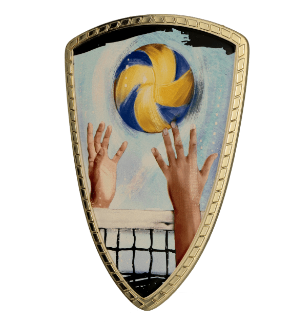 Tarcza plastikowa złota z nadrukiem - SIATKÓWKA